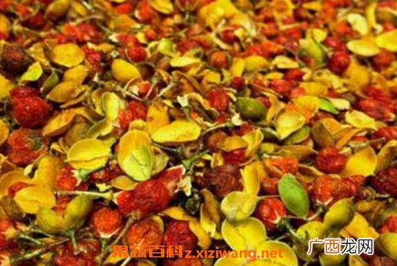 合欢花怎么治失眠 合欢花配合什么治失眠