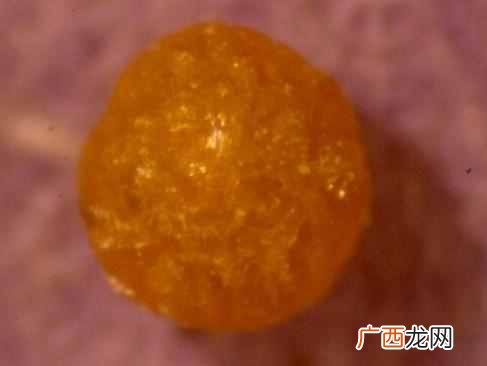 科学角度解析舍利子 舍利子是什么东西