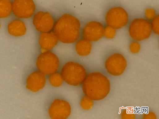 科学角度解析舍利子 舍利子是什么东西