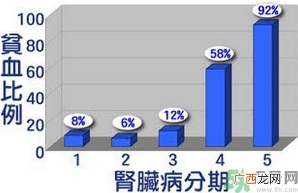 肾功能不好有什么症状小心引起肾性贫血