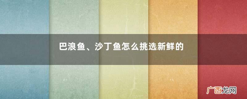 巴浪鱼、沙丁鱼怎么挑选新鲜的
