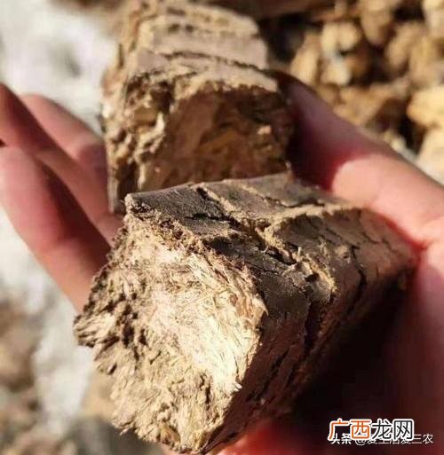 50个创业小型加工厂,2020年小型加工厂好项目