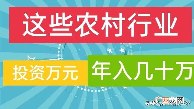 50个创业小型加工厂,2020年小型加工厂好项目