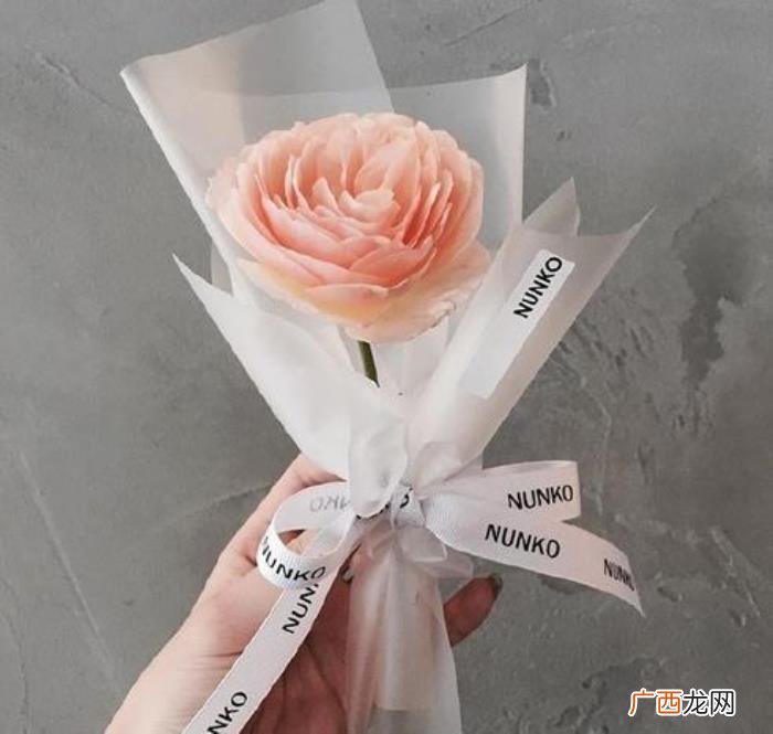 发给情人的暖心短信，情人节祝福语短信大全精选