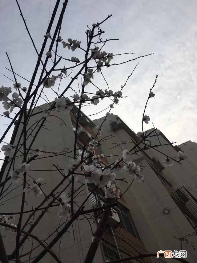 物业管理包括哪些 什么是物业管理费用