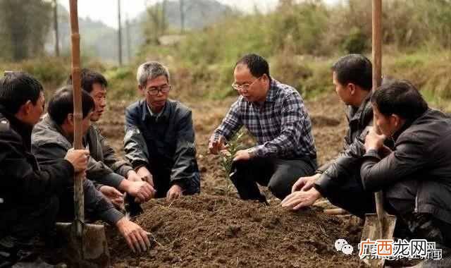 2019年农村赚钱好项目推荐 做什么赚钱最快