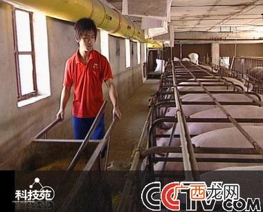 科技苑小杂鱼养殖视频 科技苑母猪养殖