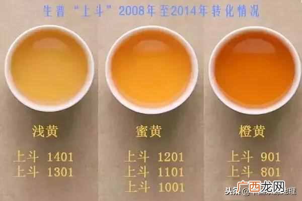 普洱茶知识分享 普洱茶属于什么茶类