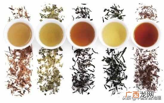 普洱茶知识分享 普洱茶属于什么茶类