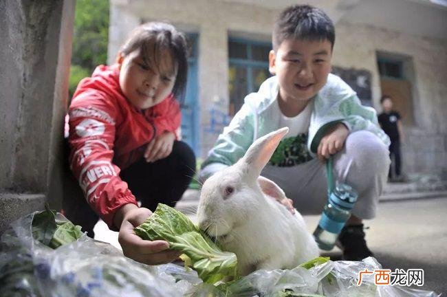 现在适合养殖什么 来宾养殖什么好