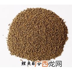 虾养殖需要什么条件 鲤鱼养殖添加剂