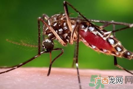 兹卡病毒会通过性爱传染?专家称证据不足