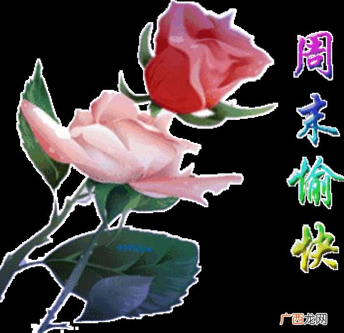周末早安问候语祝福短信 周末祝福语