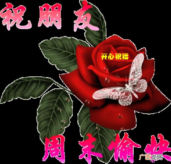 周末早安问候语祝福短信 周末祝福语