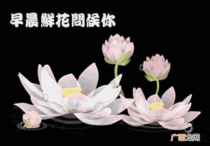 周末早安问候语祝福短信 周末祝福语