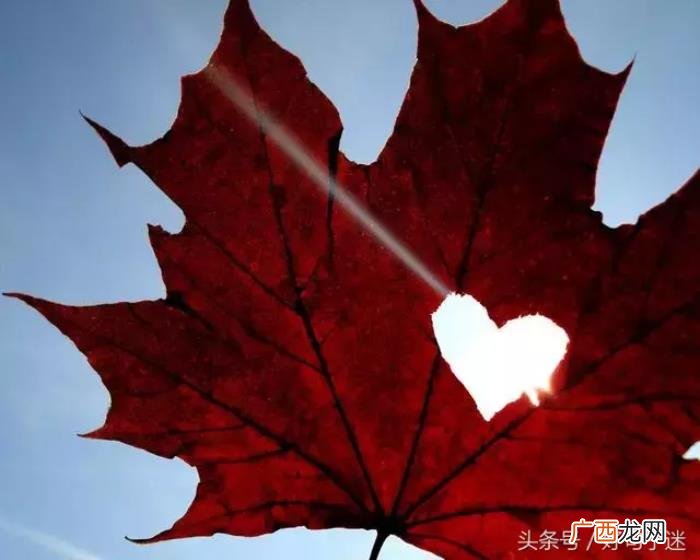 最适合发到朋友圈的句子 关于幸福的句子