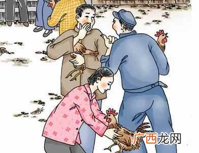 网络用语解析 打鸡血是什么意思