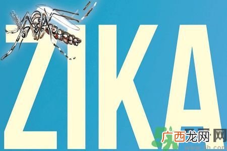 中国确诊5例寨卡病毒感染者