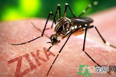 中国确诊5例寨卡病毒感染者