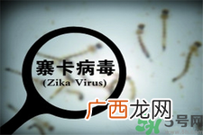 中国确诊5例寨卡病毒感染者