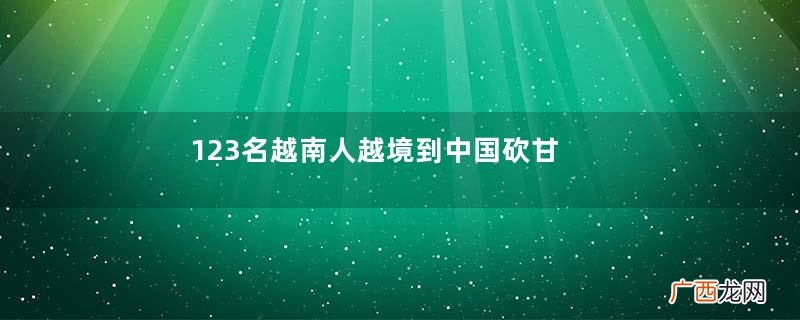 123名越南人越境到中国砍甘蔗被抓