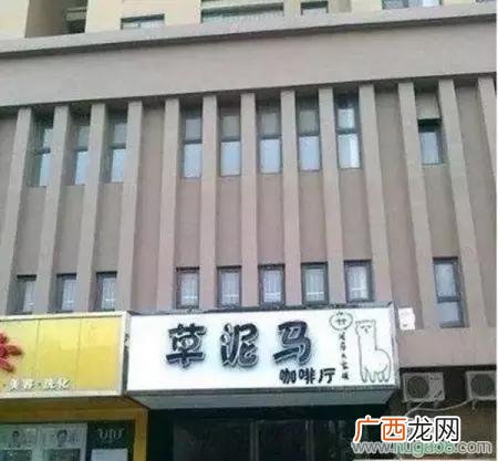 自己开店名字大全,取什么店名生意红火