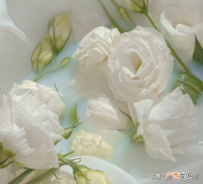 官宣有对象的网名，适合带对象名字的超甜官宣文案