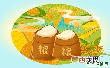 毒死蜱该如何使用
