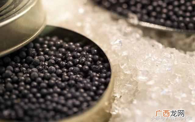 鱼子酱是什么鱼的籽(鱼子酱什么价位,为什么