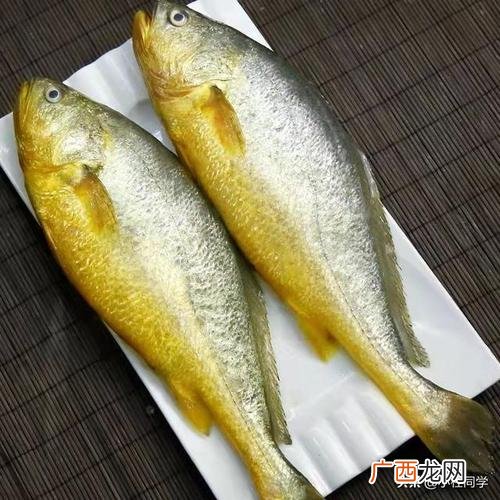 黄花鱼是野生的吗 那里有黄花鱼养殖