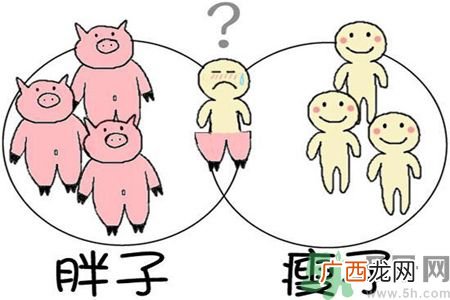 我胖了我也胖了怎么办?胖子和瘦子的运动方法