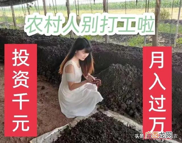 适合创业小项目,如何小成本创业