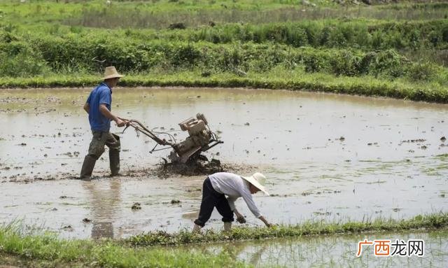 木材加工厂挣钱吗,农村木材加工厂合法吗