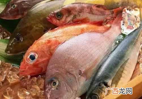 海鲜不能和什么一起吃（海鲜常识及禁忌有哪些