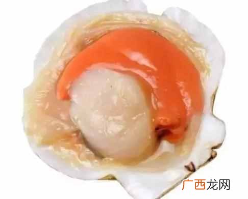 海鲜不能和什么一起吃（海鲜常识及禁忌有哪些