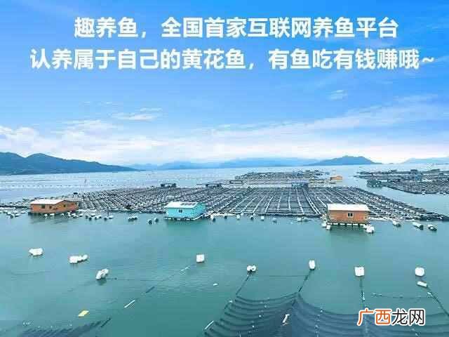 海鲜不能和什么一起吃（海鲜常识及禁忌有哪些