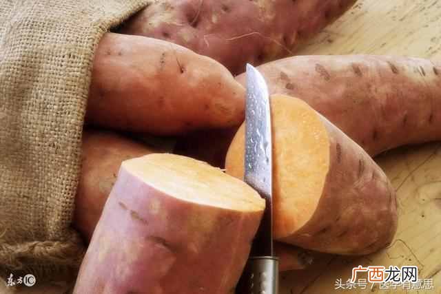 吃什么可以减肥最快（食疗减肥技巧推荐，快速