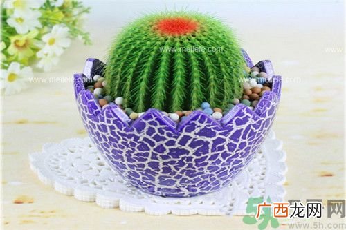 吃海带可以防辐射吗?常吃什么食物抗辐射比较好？