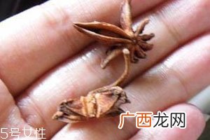 八角可以炖排骨汤吗美味八角排骨汤食谱