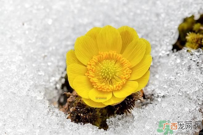 清明节有哪些习俗？清明节习俗的来源？