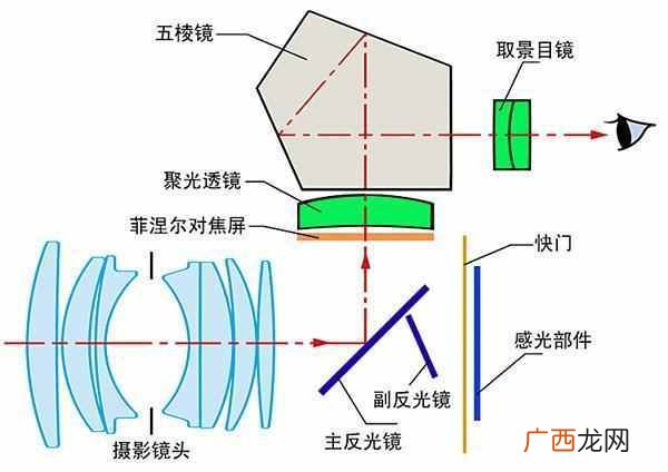 单反相机和数码相机的区别 什么叫单反相机