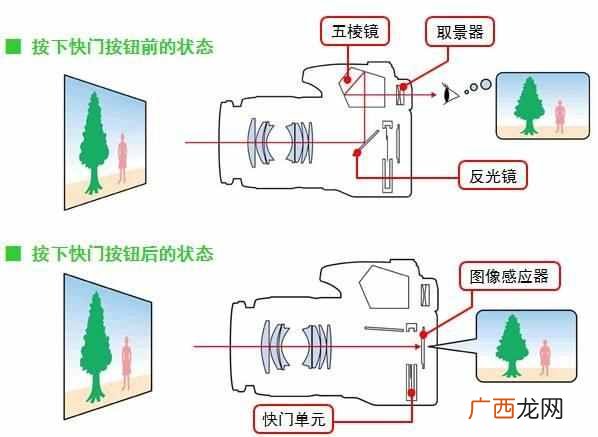 单反相机和数码相机的区别 什么叫单反相机