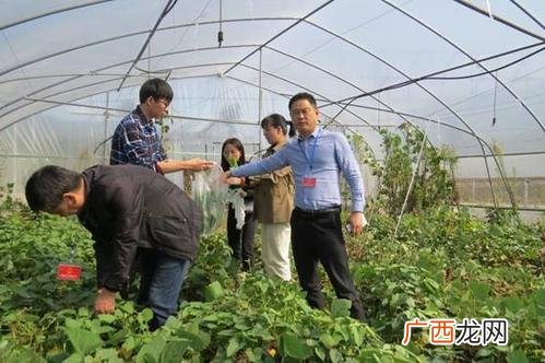 畜牧养殖业 农业产品包括养殖业嘛