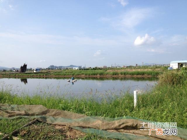 哪里有鱼虾养殖塘承包 全国鱼虾养殖塘出租