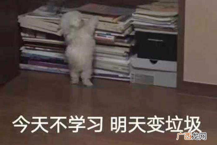 分手后找对方父母挽留，分手挽回流程要经过几个步骤