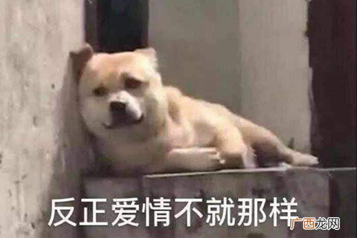 分手后找对方父母挽留，分手挽回流程要经过几个步骤