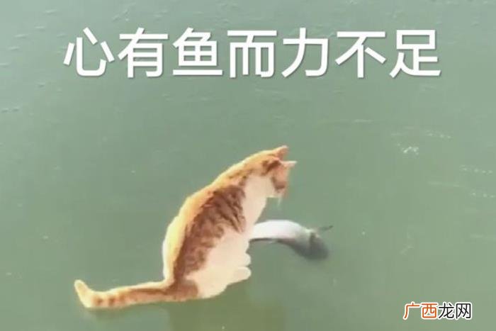 分手后找对方父母挽留，分手挽回流程要经过几个步骤