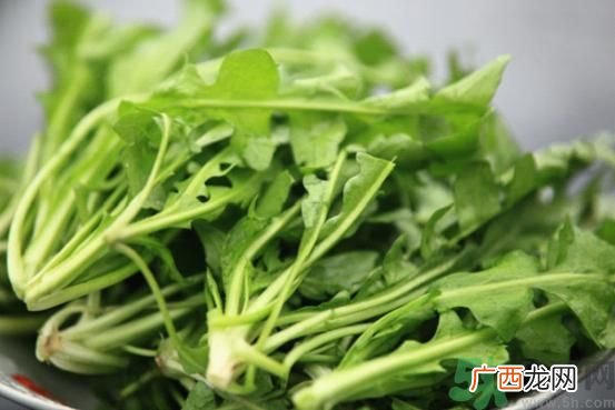 荠菜为什么要焯水？荠菜要用开水烫吗？