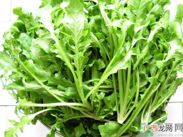 荠菜为什么要焯水？荠菜要用开水烫吗？