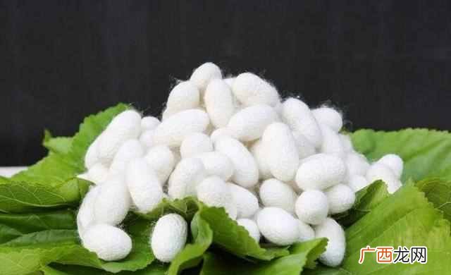 锦纶面料有哪些优缺点 锦纶是什么面料